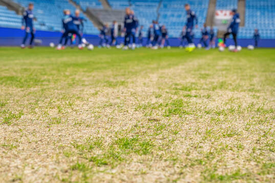 General view of the pitch