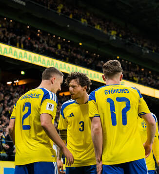 Gustaf Lagerbielke and Victor Nilsson Lindelöf of Sweden