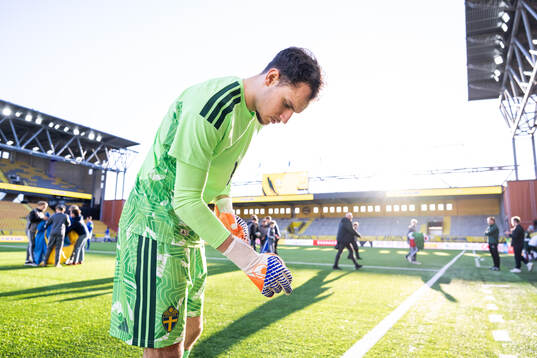Goalkeeper Elis Bishesari of Sweden