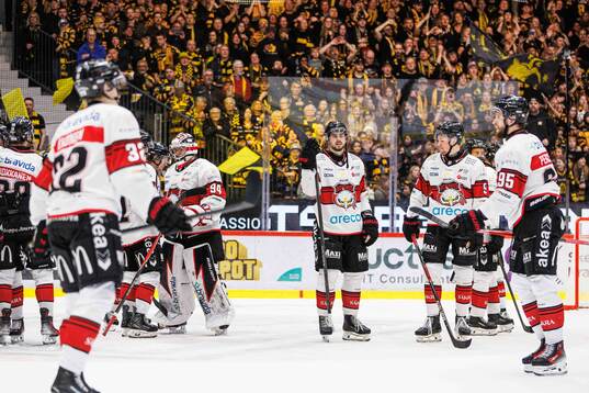 Malmö Redhawks spelare deppar