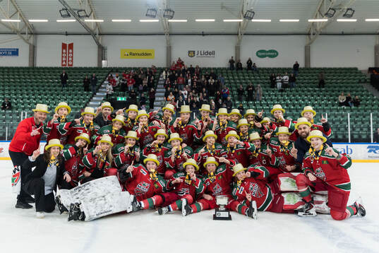 Bläddra bland fler bilder av Ishockey, U19, SM-Final, Modo - Frölunda