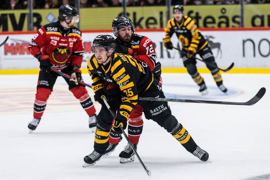 Skellefteås Pontus Johansson och Luleås Ben Tardif