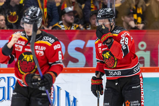 Luleås Isac Hedqvist och Erik Gustafsson deppar