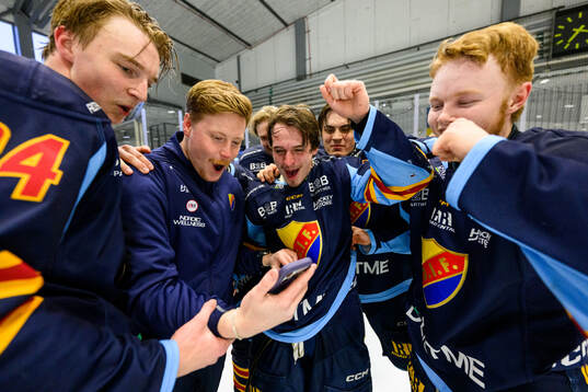 Djurgårdens spelare jublar