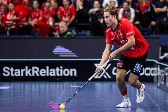 Storvretas Gabriel Kohonen