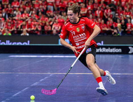 Storvretas Gabriel Kohonen