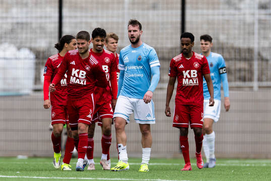 Gefles Mirza Hasanbegovic deppar