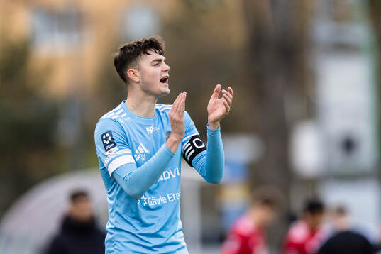 Gefles Theodor Hansemon peppar