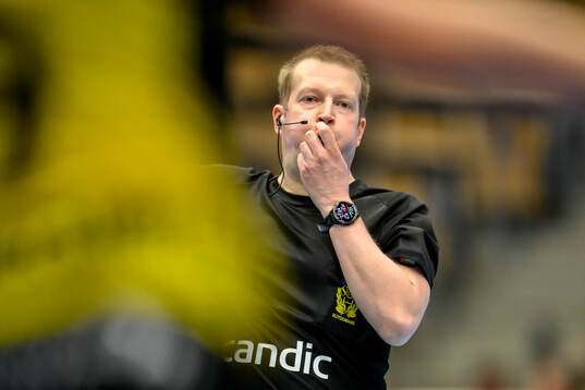Domare Jonas Torman