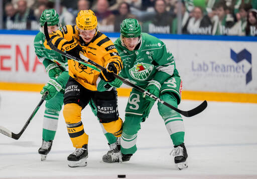 Skellefteås Zeb Forsfjäll, Rögles Linus Sjödin och