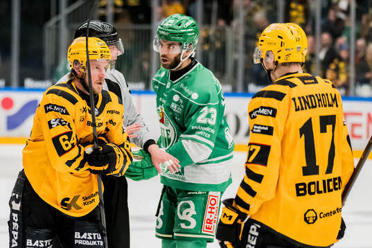 Skellefteås Jonathan Pudas och Rögles Josh Dickinson