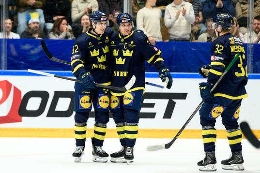 Liam Öhgren and Jakob Silfverberg of Sweden