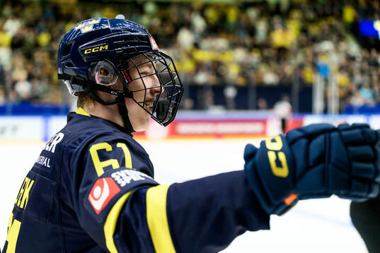 Viggo Björck of Sweden celebrates