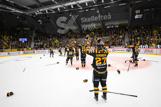 Skellefteås spelare jublar