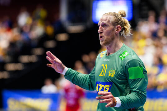 Goalkeeper Mikael Appelgren of Sweden