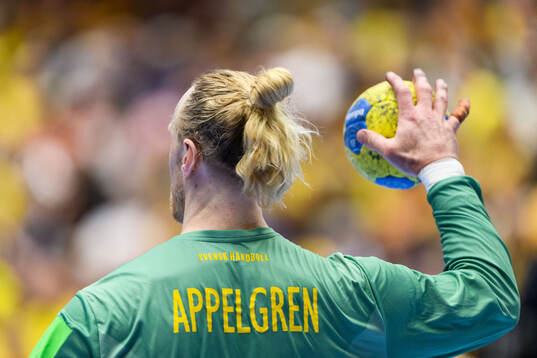 Goalkeeper Mikael Appelgren of Sweden