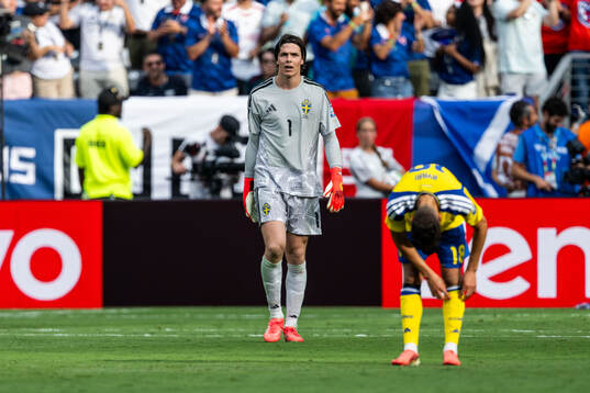 Goalkeeper Jacob Widell Zetterström of Sweden looks