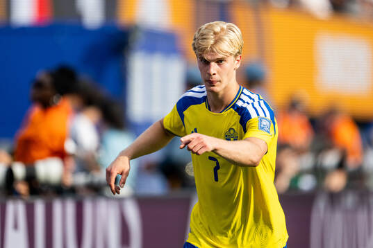 Lucas Bergvall of Sweden