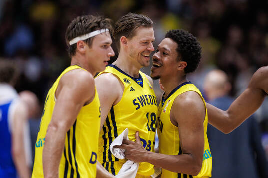 Pelle Larsson, Viktor Gaddefors and Melwin Pantzar of