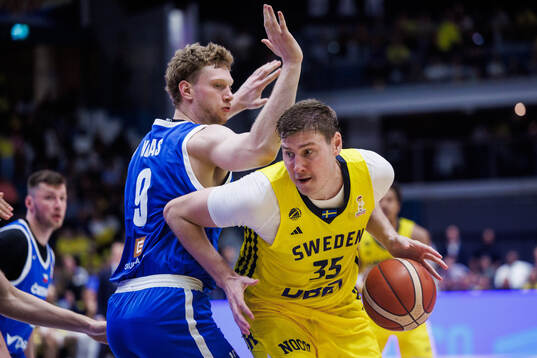 Jakub Necas of Czech Republic and Simon Birgander of Sweden