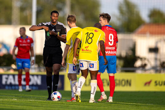 Domare Abdinaser Bashir