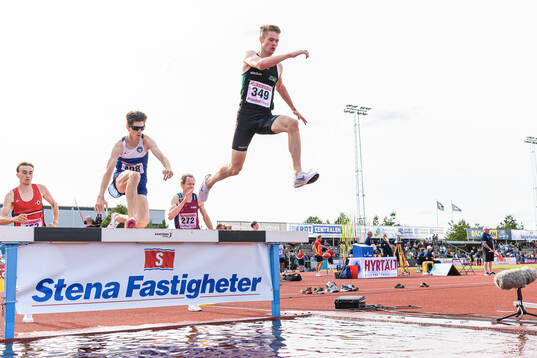 Sander Petri Bere, Malmö AI