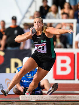 Fanny Roos, Malmö AI