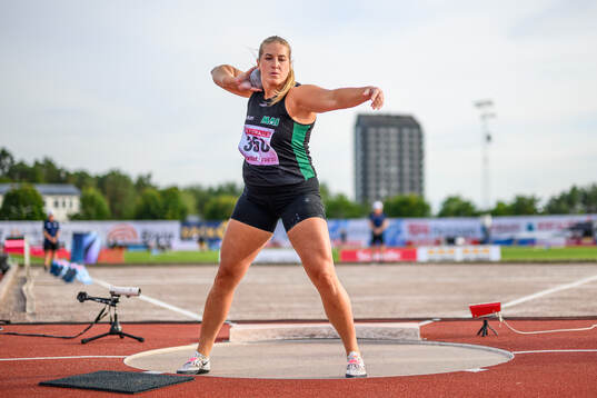 Fanny Roos, Malmö AI