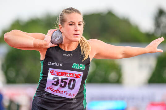 Fanny Roos, Malmö AI