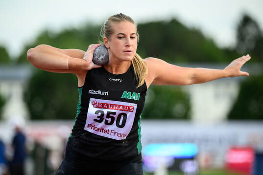Fanny Roos, Malmö AI