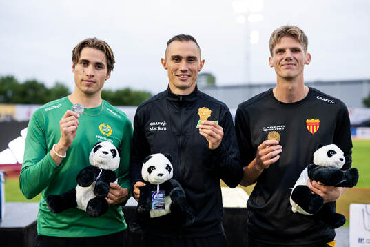 Niklas Wall, Hammarby IF, Thobias Montler, Malmö AI, och