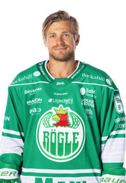 Rögles Leon Bristedt
