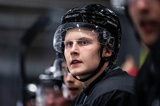 Malmö Redhawks Hugo Pettersson