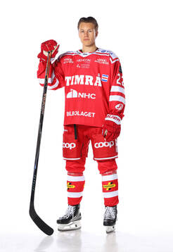 Timrås Tim Barkemo