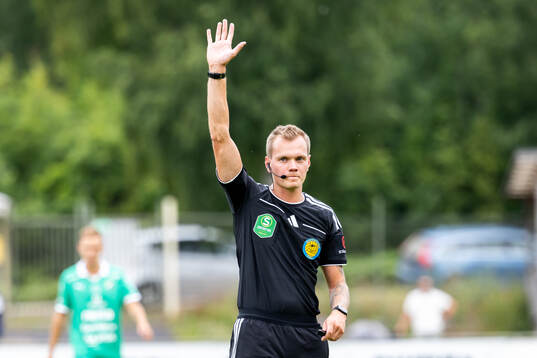 Domare Fredrik Alknäs