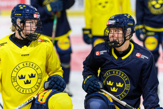 Jessica Adolfsson and Nicole Hall of Sweden at a practice