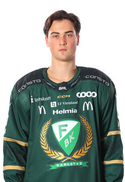 Bläddra bland fler bilder av Ishockey, SHL, Porträtt och Lagbild, Färjestad