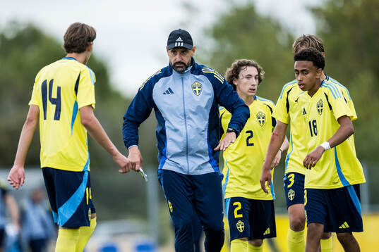 Head coach Mirza Jelecak of Sverige