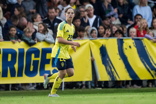Milion Rattner of Sverige