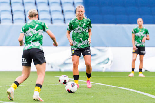 Hammarbys spelare