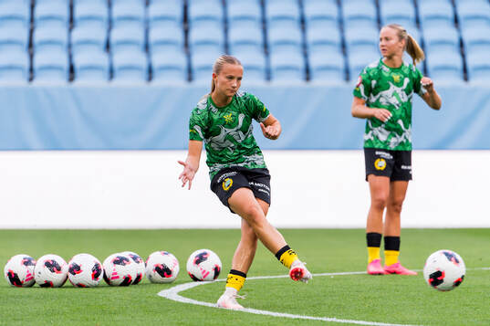 Hammarbys spelare