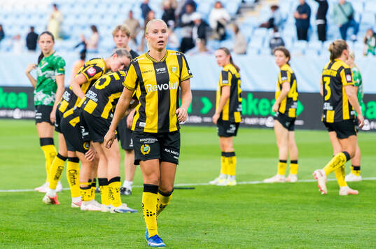 Hammarbys spelare