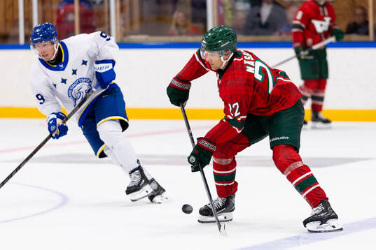 Leksands Patrik Zackrisson och Frölundas Linus Nässén