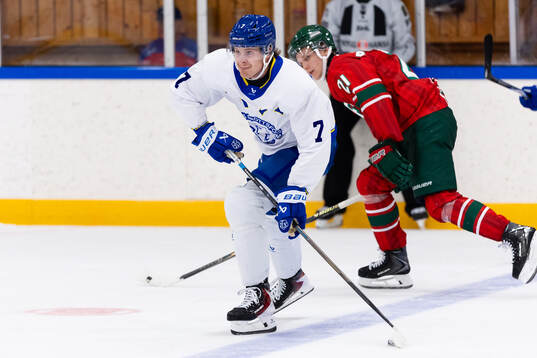 Leksands Tyler Angle