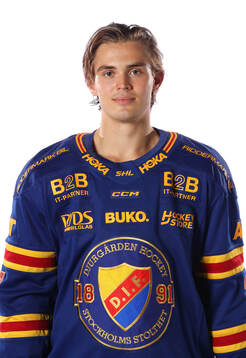 Djurgårdens Håvard Salsten