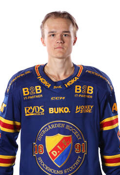 Djurgårdens Liam Pettersson