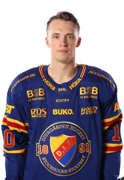 Djurgårdens Noel Gunler
