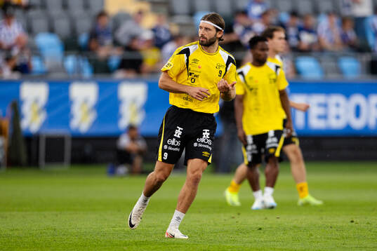 Elfsborgs Arber Zeneli