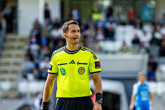 Domare Adi Aganovic