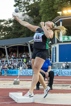 Fanny Roos, Malmö AI